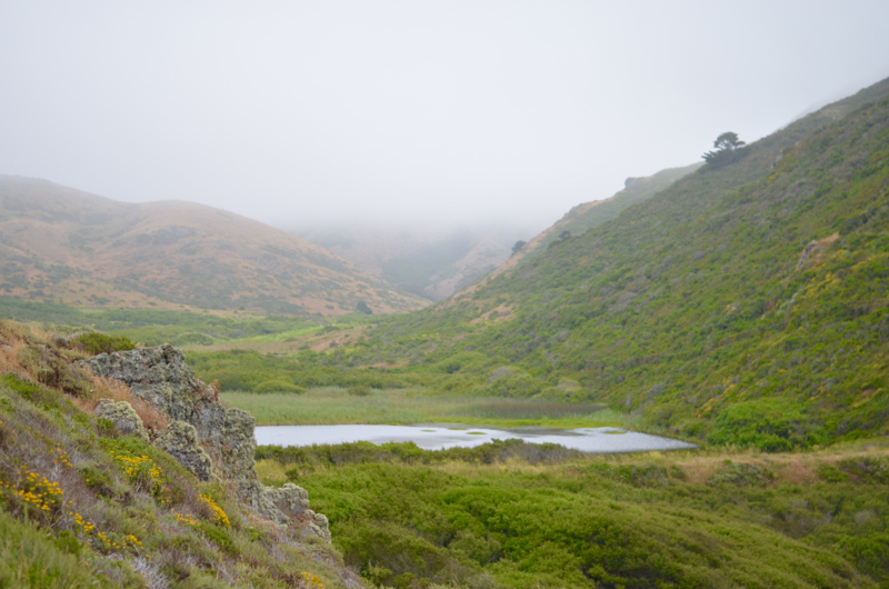 Tennessee Valley Trail in Marin County