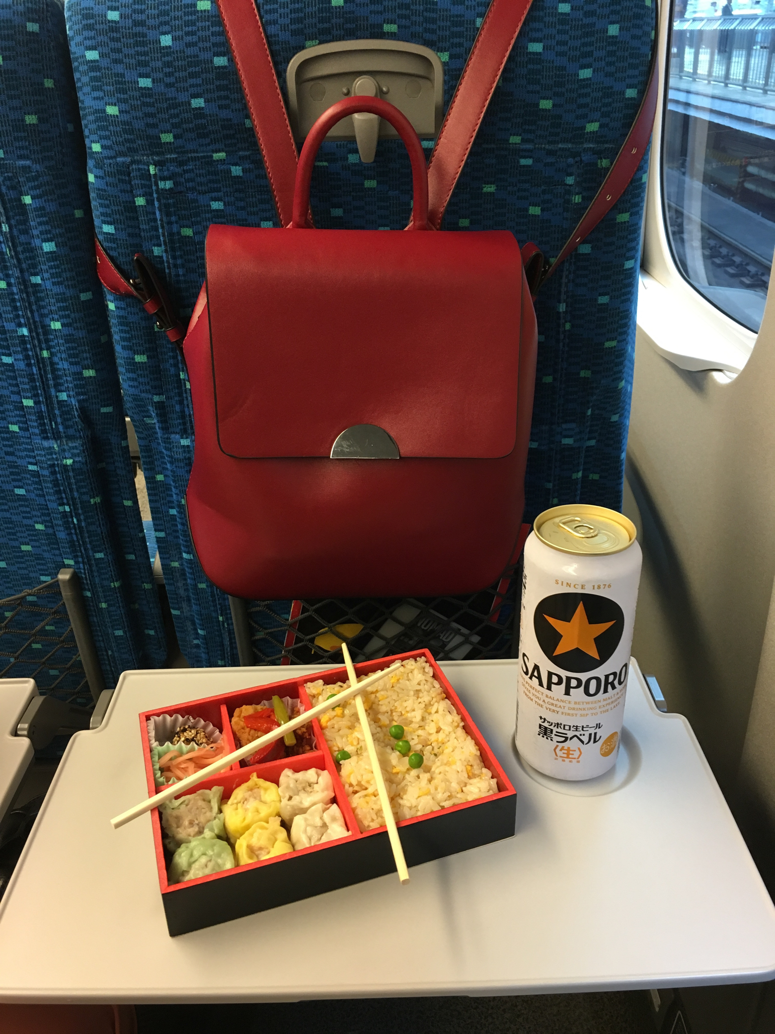 Traveling Tokyo and Kyoto, traveling on the Shinkansen train