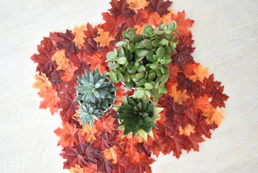 Easy DIY Thanksiving Leaf Placemats