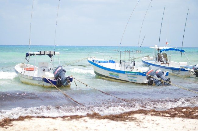 boats in playa del carmen, Mexico // thestylesafari.com 
