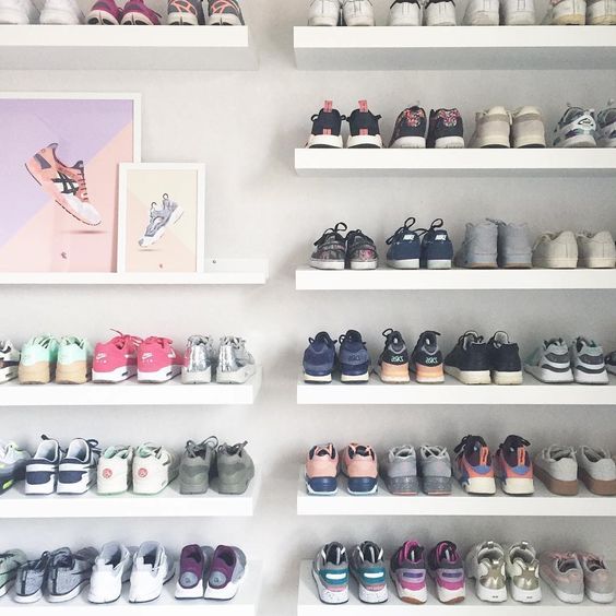 modern adult collections- sneaker collection