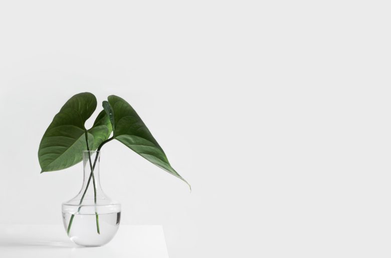 21 ways to make every day earth day, sustainable living, slow fashion