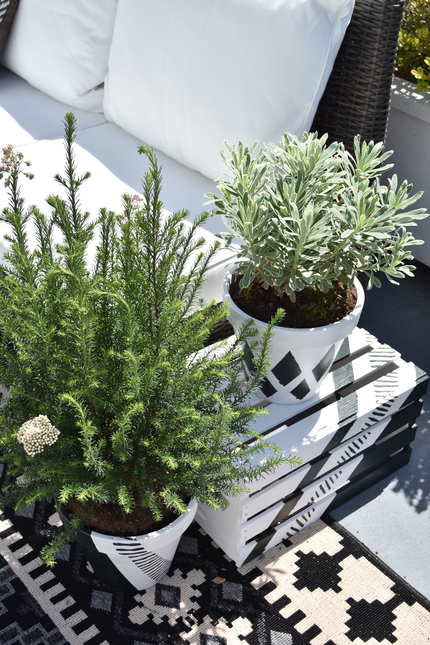 DIY mini garden with Farrow & Ball spring paint collection, All white, Studio Green