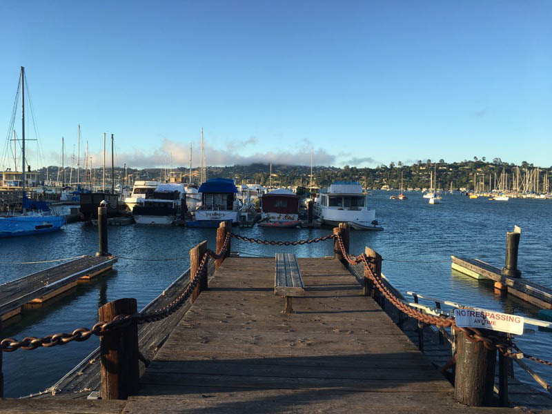 The Style Safari's Guide to Sausalito - Joinery 3