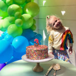 Rainbow birthday party - rainbow balloon arch
