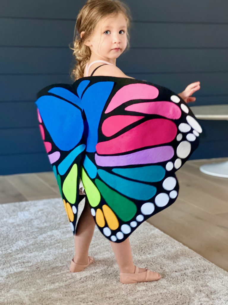 DIY Rainbow Butterfly Wings