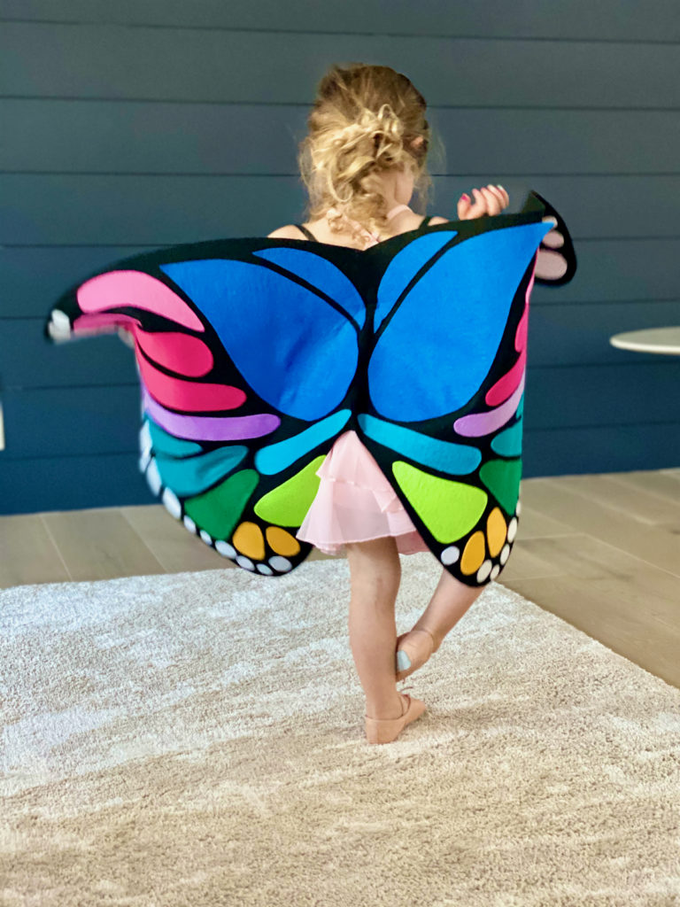 DIY Rainbow Butterfly Wings
